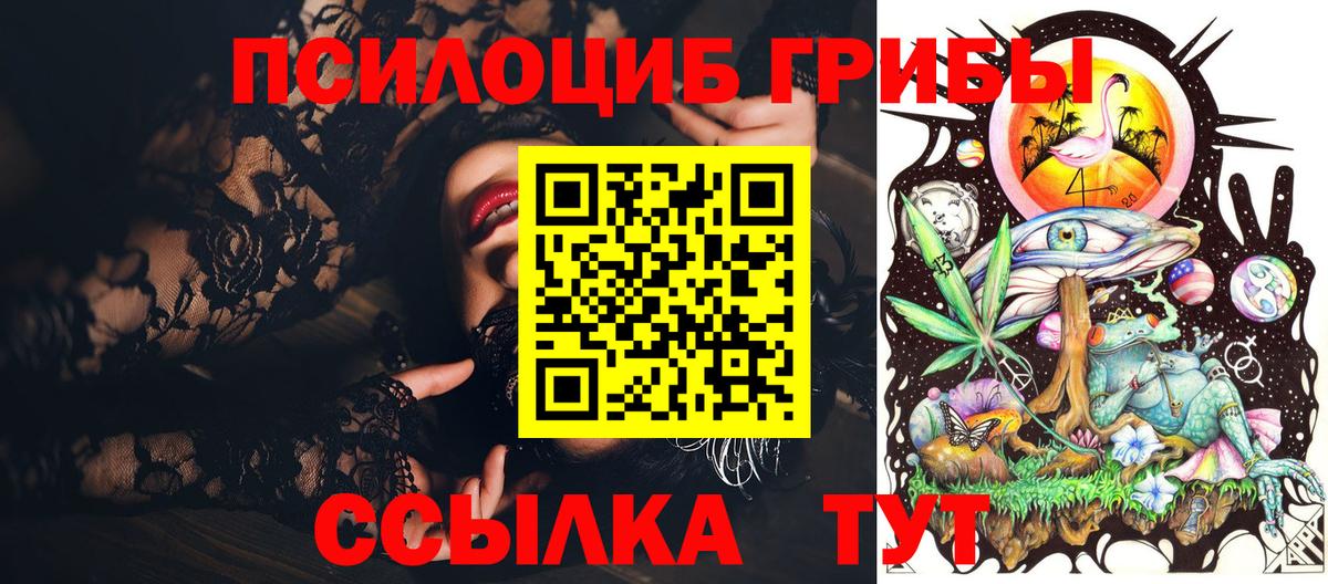 Псилоцибиновые грибы MAGIC MUSHROOMS  Вход с VPN  Казань 