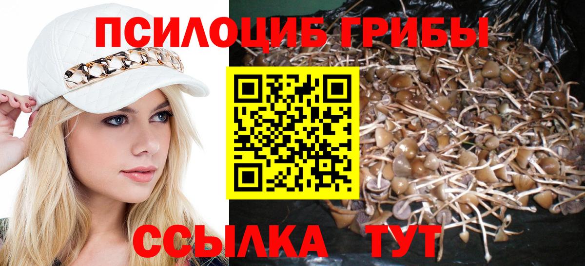 Галлюциногенные грибы Cubensis Казань